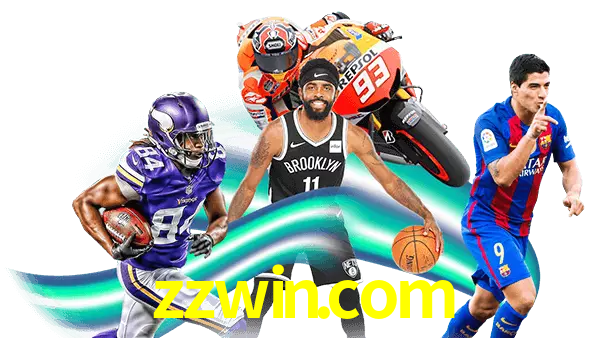 zzwin.com